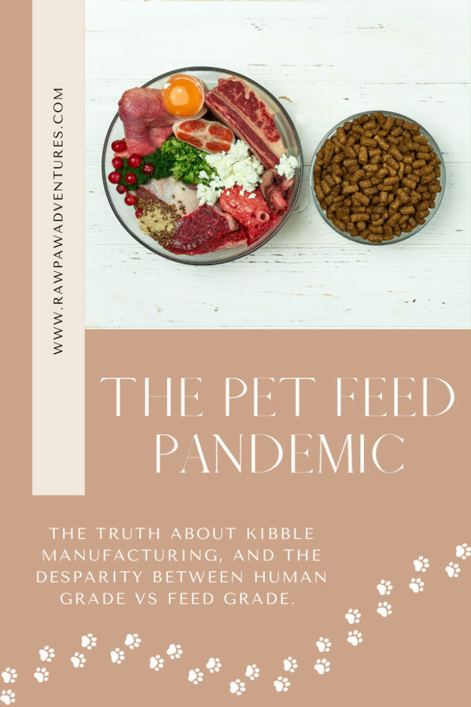 The Pet Feed Pandemic