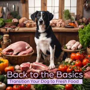 Back to the Basics